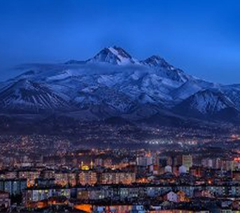 Kayseri Yilki Horses (Wild Horses)